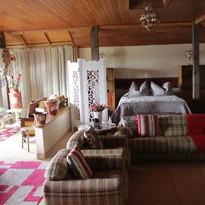 Loft Apartamento São Joaquim